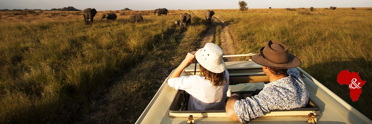 Amazing Game Drives